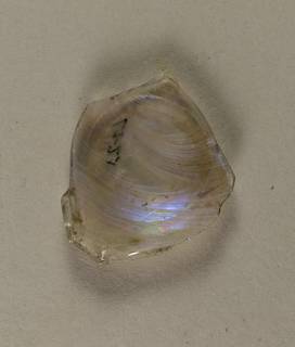 Archaeological glass with iridescence