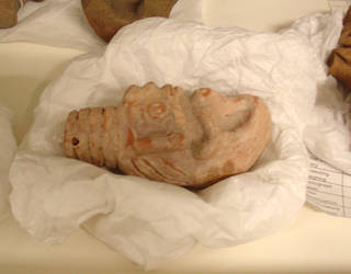 Acid Free Tissue Nest