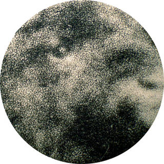 Magnified collotype pattern