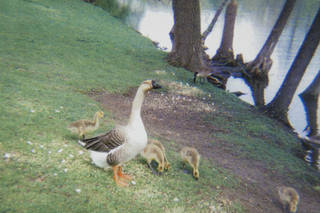 Inkjet print on coated paper