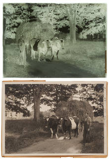 Gelatin glass negative alongside accompanying print