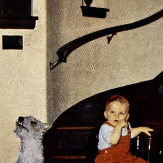 Offset Lithograph misregistration