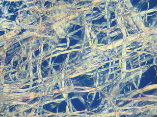 Paper fibers visible under heavy magnification