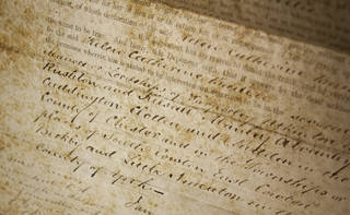 Parchment texture detail