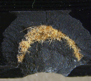 Shellac disc - paper substrate microscopic view